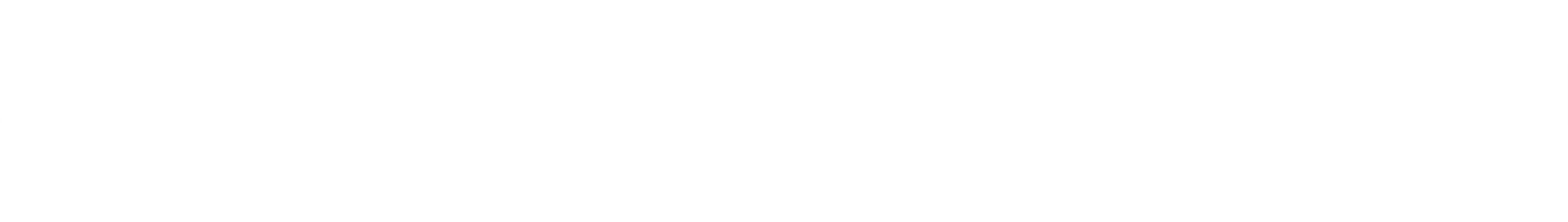 同芙国际控股集团有限公司2